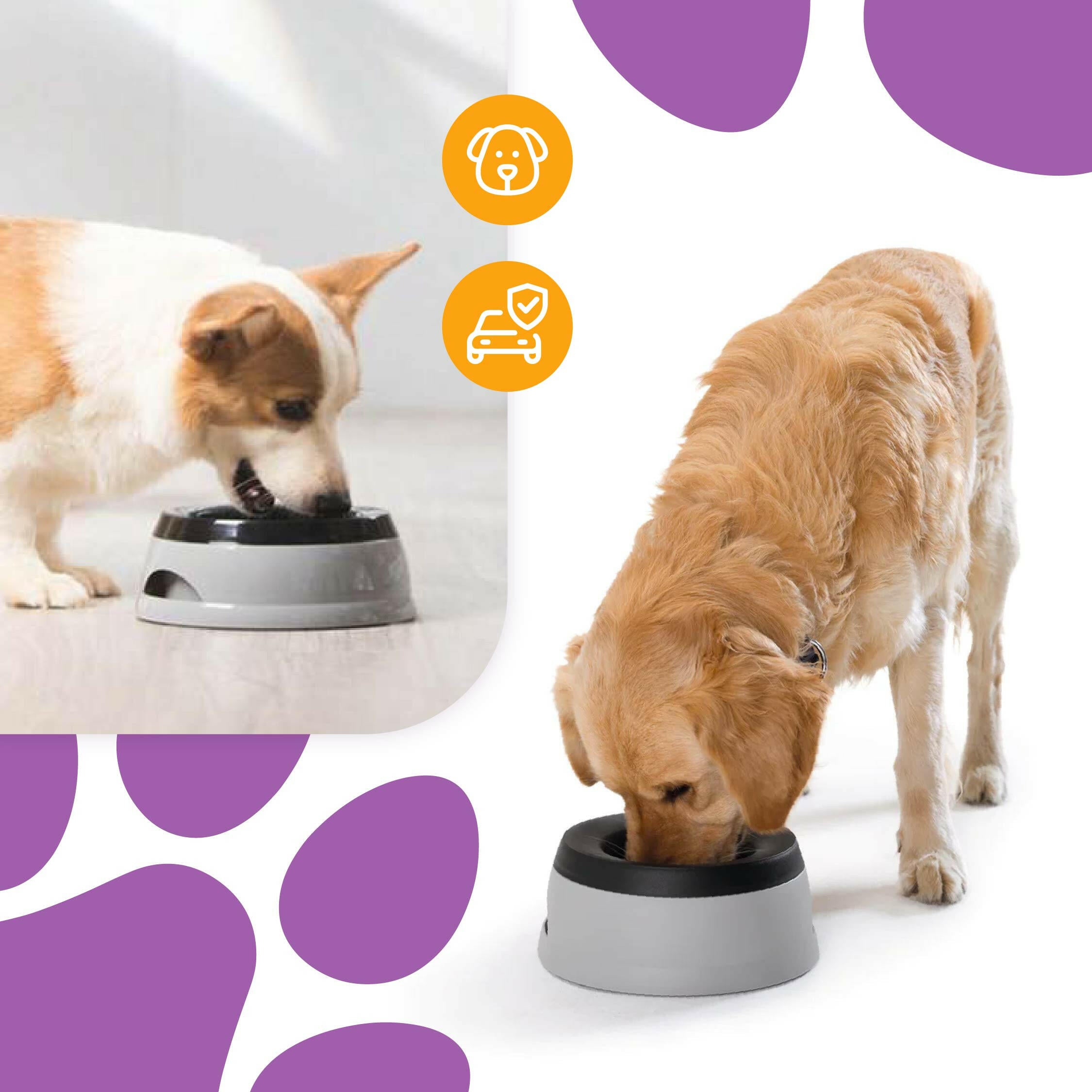 Dog bowl to store slow down drinking