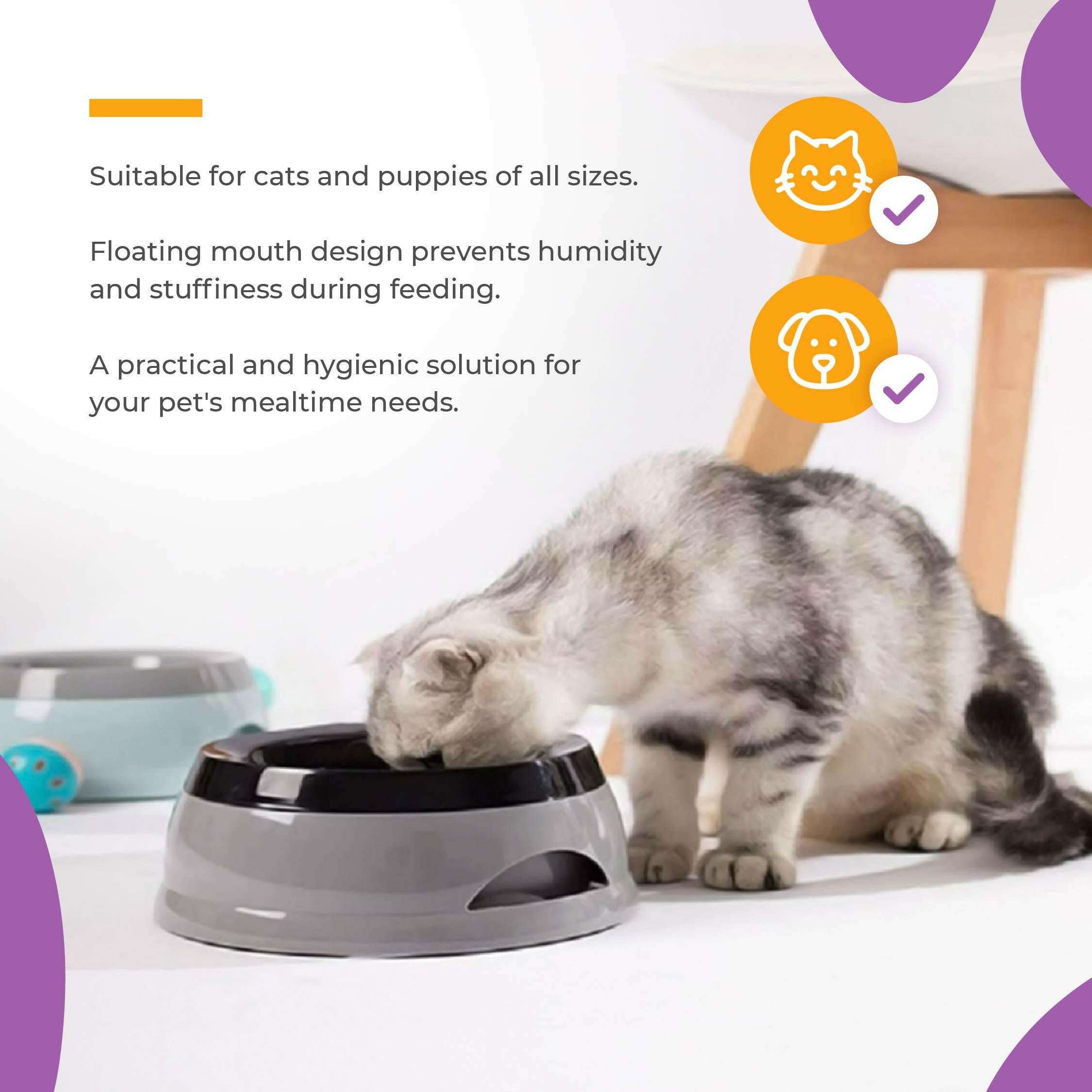 Smart Pet Bowl Slow Feeder, and Non-Slip Design, Bonus Water Bottle Feeder - No More Spills!